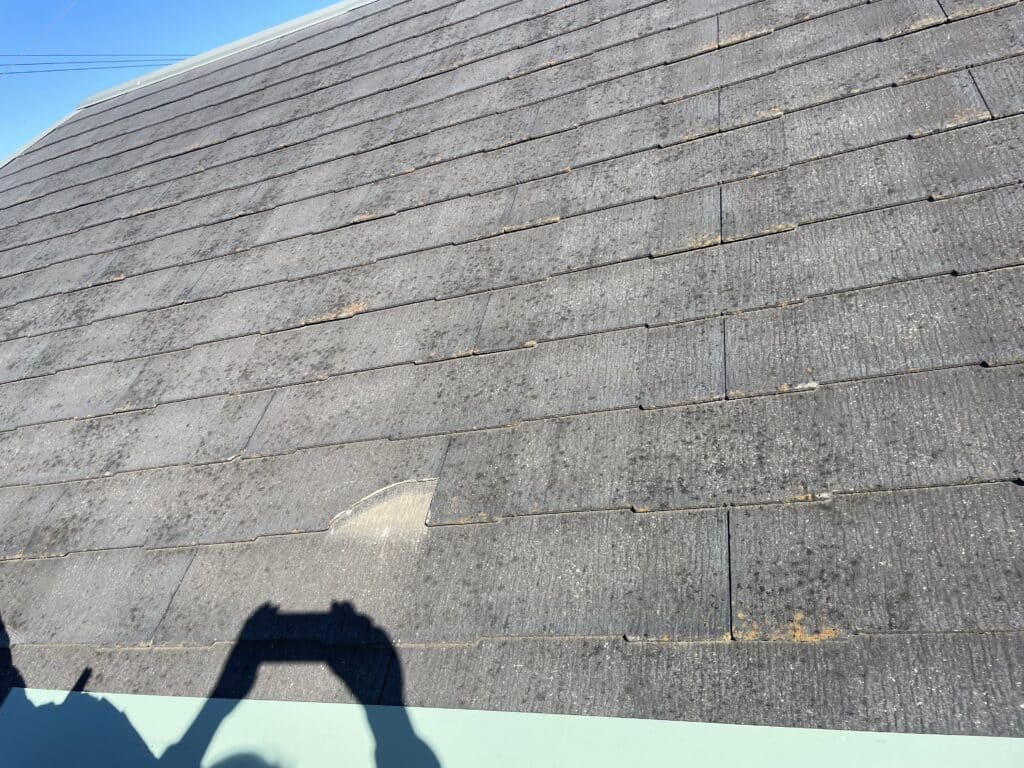 屋根部分補修工事